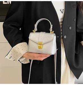 Detailed shot of mini silver litchi grain leather handbag with gold metal clasp and top handle
