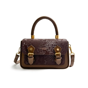 Vintage crossbody square bag with brown snakeskin pattern and elegant golden buckle