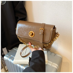 Detail of vintage brown glossy shoulder bag with golden twist lock and metal chain