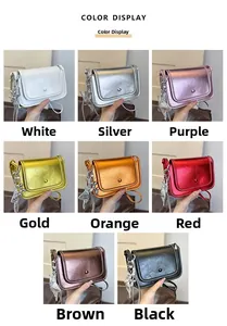 Detailed color display of minimalist crossbody flap bags with silver balloon dog charms