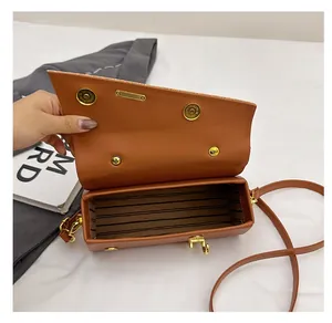 Interior view of brown crossbody bag showing striped fabric lining and dual magnetic buckles