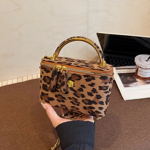 Mini sac boîte à imprimé léopard avec poignée dorée et bandoulière en chaîne