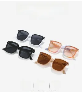 Group display of oversized square sunglasses in black, tortoiseshell and rainbow colors