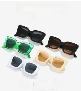 Detailed collection of rectangle cat-eye sunglasses in various trendy colors and finishes