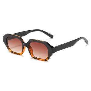 Geometric Polygonal Sunglasses PC Frame UV400 Protection Retro Hip Hop INS Style Trendy Outdoor Eyewear For Men Women