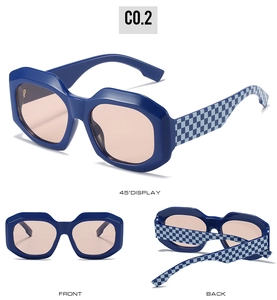 Detail of oversized sunglasses with blue checkered patterns on temples and square frames