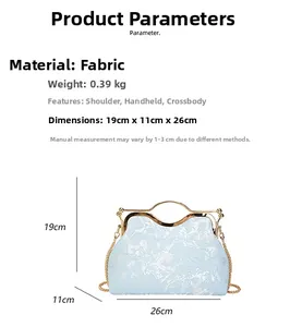 Detail view of light blue embroidered fabric texture and golden chain strap for shell bag