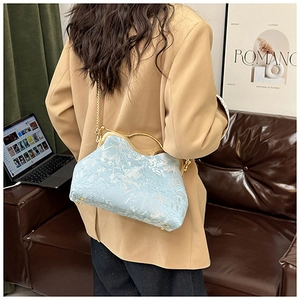 Light blue embroidered shell bag featuring a gold metal handle and elegant chain strap