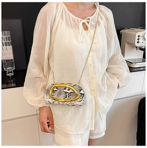 Detailed view of snake texture acrylic handbag with gold clasp on chain strap