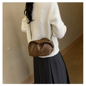 Brown pleated cloud bag with silver chain strap shown from a stylish back-view perspective
