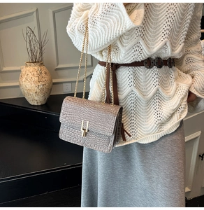Detail shot of grey faux crocodile textured crossbody bag with gold chain and metal clasp