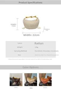 Detailed size specifications for woven straw handbag with dimensions 22x11x7cm and chain