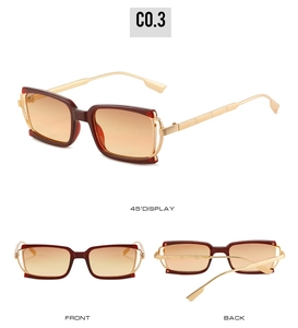 Detail view of tortoiseshell frame sunglasses with gradient lenses and gold temples