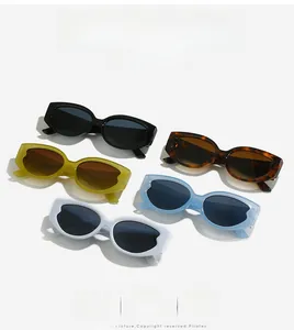 Flat lay of oval sunglasses in black, tortoise, green, blue, and white colors