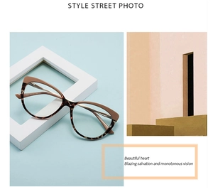 Detailed close-up of tortoise shell cat-eye TR90 frames with metal hinges and CE marking