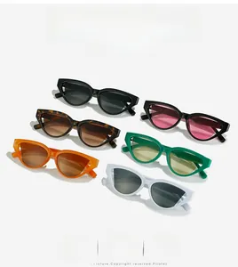Collection of colorful small cat eye sunglasses with high-quality resin frames for women