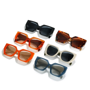 Retro geometric cat-eye sunglasses in six assorted colors with UV400 protection