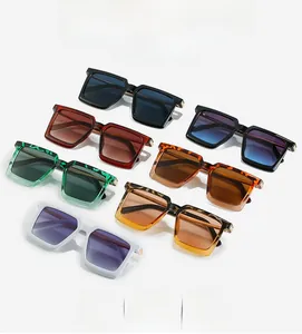 Detail view of seven oversized square sunglasses in varied colors with thick frames