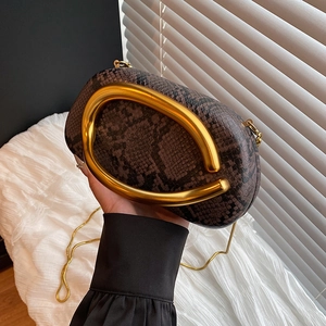 Detail of snake skin texture clutch bag with elegant gold circular top handle and chain