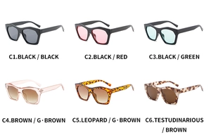 Detailed grid view of stylish oversized polygon sunglasses in six assorted vintage colors
