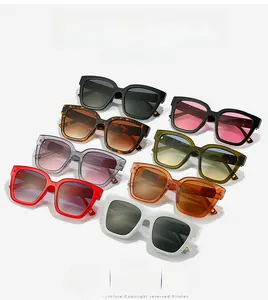 Array of oversized square sunglasses in eight colors including black, tortoiseshell and green