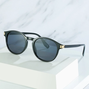 Lunettes de soleil rondes classiques noir brillant avec détails dorés élégants