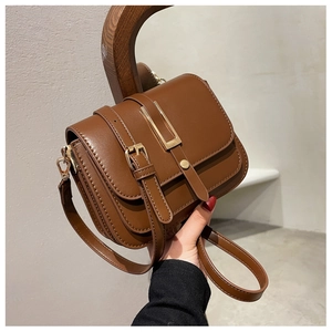 Detail of a brown square crossbody bag featuring golden hardware and adjustable buckle strap