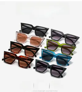 Détails de lunettes de soleil géométriques à monture épaisse avec accents métalliques