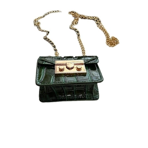 Mini dark green crocodile pattern crossbody bag with gold chain strap and metal lock