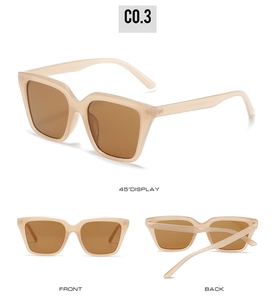 Front and side views of champagne square sunglasses with brown lenses and C0.3 model detail
