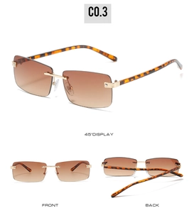 Detail view of rimless gradient lenses with leopard print temples and gold hinges