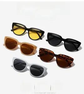 Multiple stylish cat-eye sunglasses with PC frames and model ZN3559 details on temples