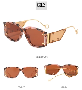 Vues détaillées de lunettes de soleil vintage avec monture écaille et branches dorées