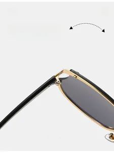 Détail des charnières métalliques durables sur lunettes de soleil pomme grand format