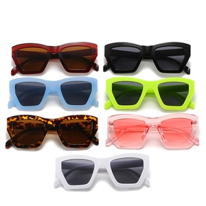 Modern thick frame geometric sunglasses in multiple colors for men and women