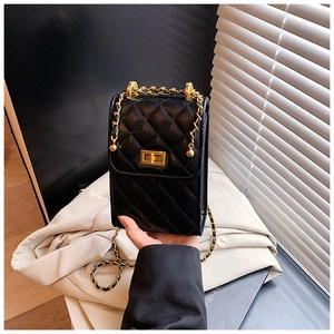 Classic black quilted leather mini chain bag with gold hardware and a twist-lock closure