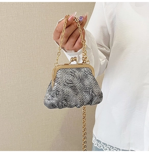 Detail of silver textured kiss-lock bag with gold chain strap held by a model
