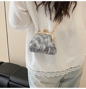 Detail of silver woven mini kiss-lock bag with gold chain strap worn by a model