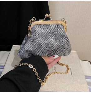 Close-up of silver-gray textured fabric and golden metal clasp on a vintage kiss-lock bag