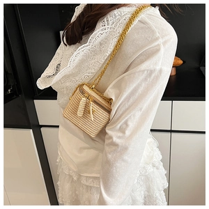 Detail view of a beige woven mini vanity case with a gold chain strap and a zipper