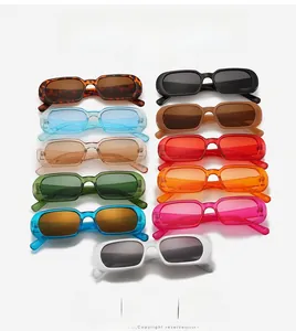 Flat lay of colorful retro narrow oval sunglasses in various jelly and solid frame colors