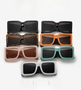 Detailed collection of square sunglasses in seven vibrant colors with wide temples