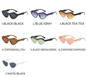 Kollektion von Oversized Cat-Eye-Sonnenbrillen in sieben modischen Rahmen- und Glasfarben