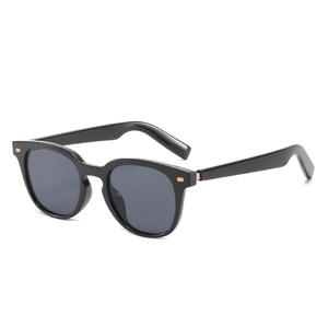 Lunettes de soleil rondes noires classiques avec détails en métal et verres gris