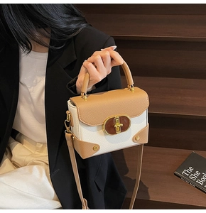 Close-up of contrast color handbag with lychee texture and metallic twist lock detail