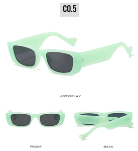 Rectangle cat eye sunglasses in mint green C0.5 frame with detailed side and front views