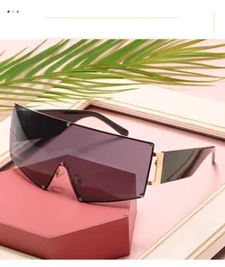 Detail view of purple shield sunglasses with silver rivets and gold metal hinges