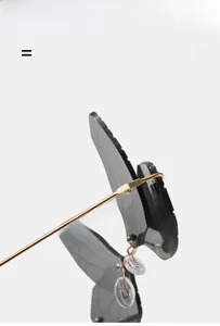 Detailed view of grey butterfly wing rimless lenses with gold metal temples