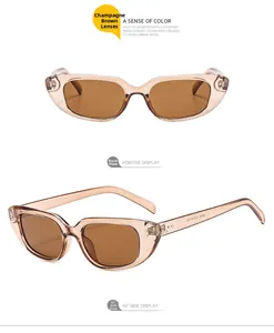 Quadratische Sonnenbrille in Champagner-Tee mit transparentem Rahmen und braunen Gläsern