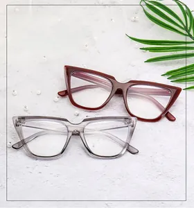 Dettaglio montature per occhiali cat-eye in marrone scuro e grigio trasparente lucido